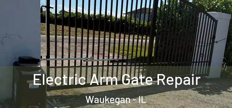 Electric Arm Gate Repair Waukegan - IL