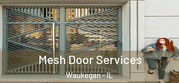 Mesh Door Services Waukegan - IL